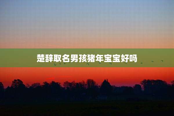楚辞取名男孩猪年宝宝好吗