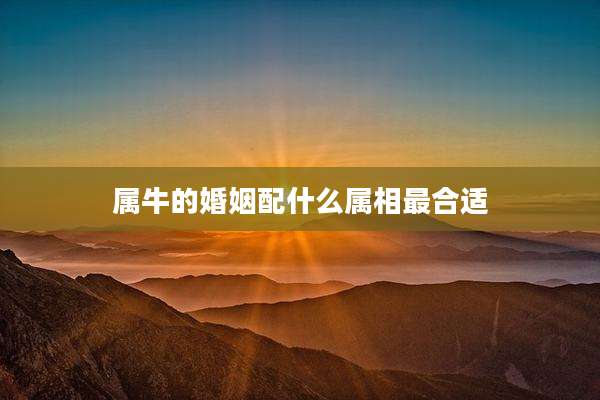 属牛的婚姻配什么属相最合适