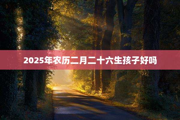 2025年农历二月二十六生孩子好吗