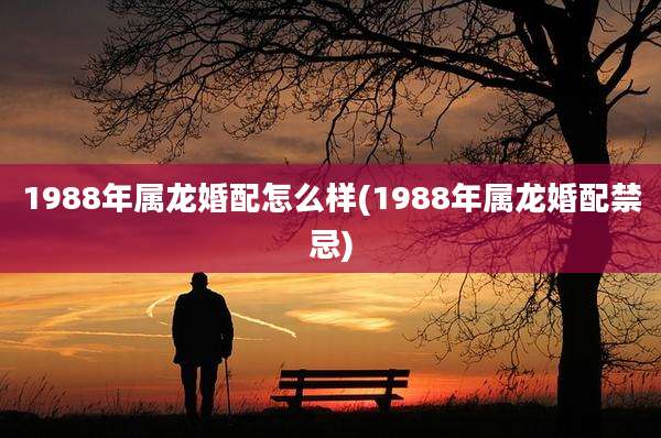 1988年属龙婚配怎么样(1988年属龙婚配禁忌)