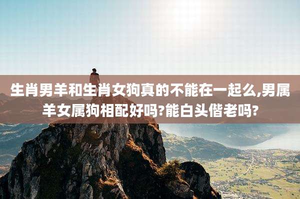 生肖男羊和生肖女狗真的不能在一起么,男属羊女属狗相配好吗?能白头偕老吗?