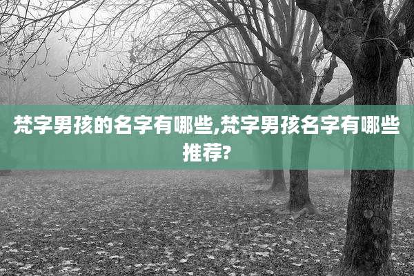 梵字男孩的名字有哪些,梵字男孩名字有哪些推荐?