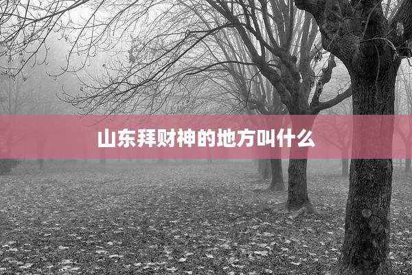 山东拜财神的地方叫什么