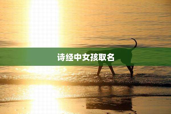 诗经中女孩取名