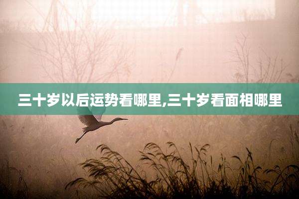 三十岁以后运势看哪里,三十岁看面相哪里