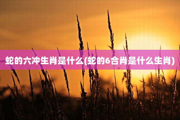 蛇的六冲生肖是什么(蛇的6合肖是什么生肖)