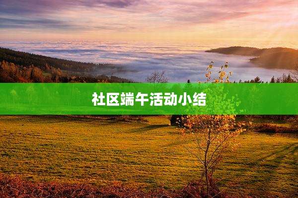 社区端午活动小结