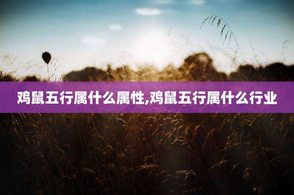 鸡鼠五行属什么属性,鸡鼠五行属什么行业