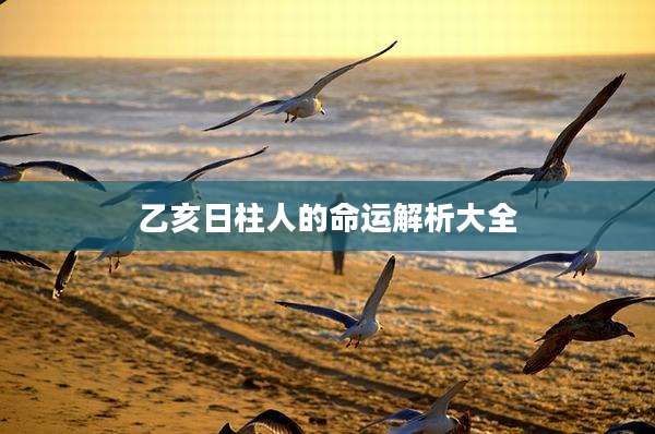 乙亥日柱人的命运解析大全