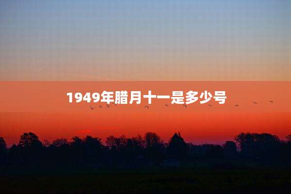 1949年腊月十一是多少号