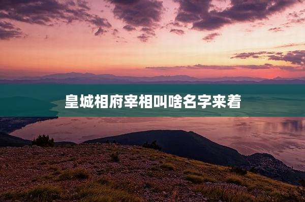 皇城相府宰相叫啥名字来着