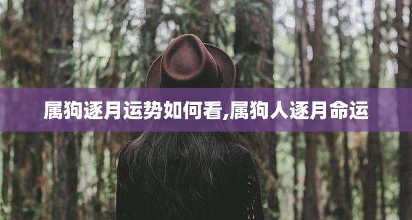 属狗逐月运势如何看,属狗人逐月命运