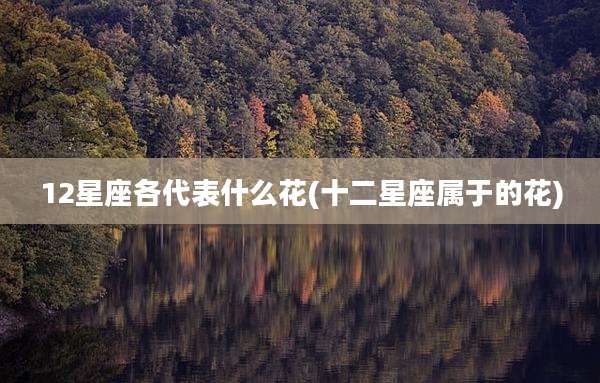 12星座各代表什么花(十二星座属于的花)