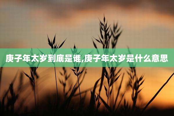 庚子年太岁到底是谁,庚子年太岁是什么意思