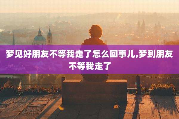 梦见好朋友不等我走了怎么回事儿,梦到朋友不等我走了