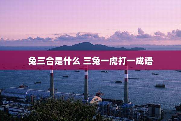 兔三合是什么 三兔一虎打一成语