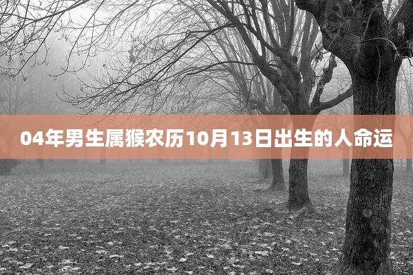 04年男生属猴农历10月13日出生的人命运
