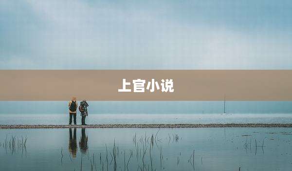 上官小说