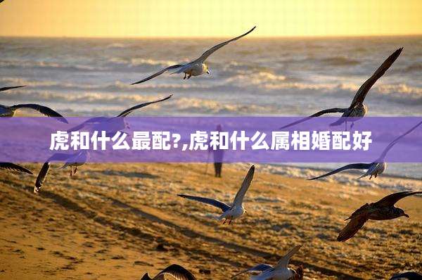 虎和什么最配?,虎和什么属相婚配好