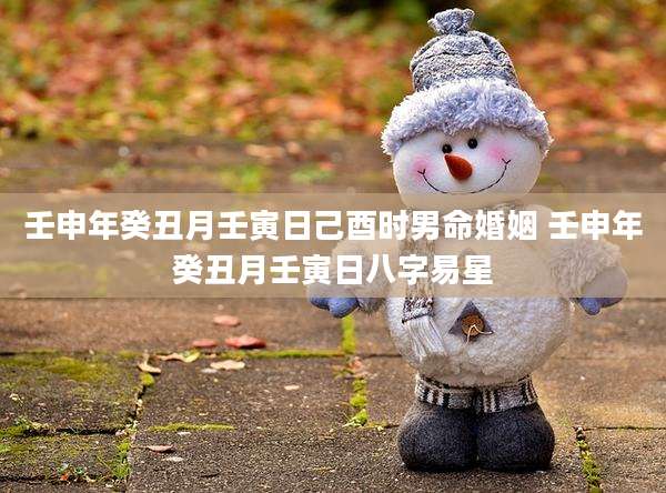 壬申年癸丑月壬寅日己酉时男命婚姻 壬申年癸丑月壬寅日八字易星