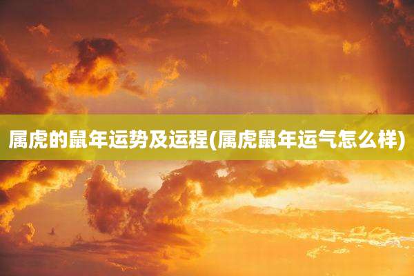 属虎的鼠年运势及运程(属虎鼠年运气怎么样)