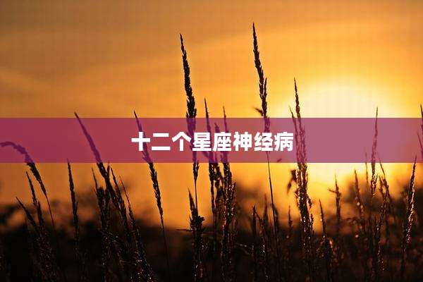 十二个星座神经病