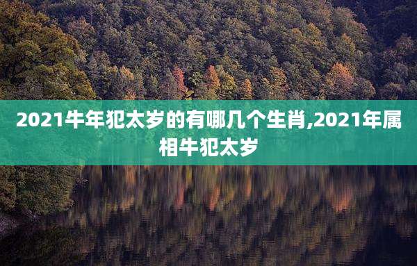 2021牛年犯太岁的有哪几个生肖,2021年属相牛犯太岁