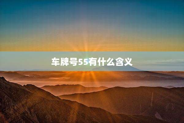 车牌号55有什么含义