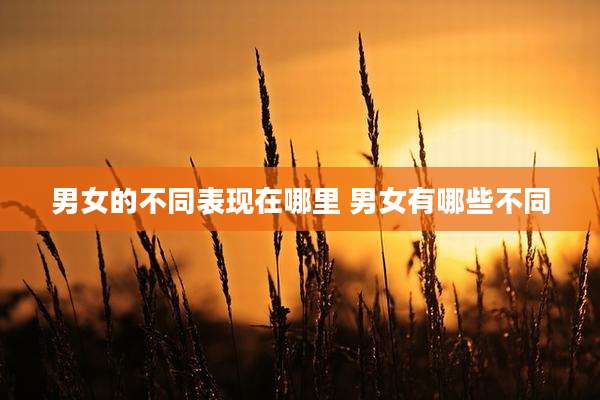 男女的不同表现在哪里 男女有哪些不同