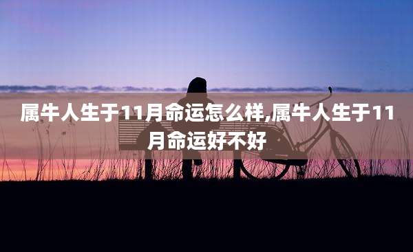 属牛人生于11月命运怎么样,属牛人生于11月命运好不好