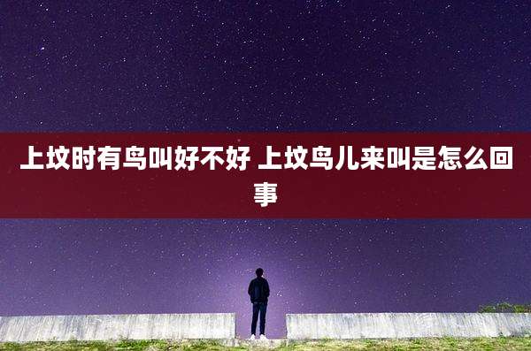 上坟时有鸟叫好不好 上坟鸟儿来叫是怎么回事