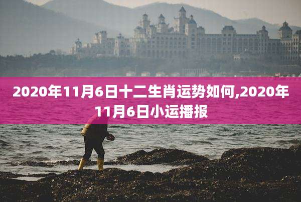 2020年11月6日十二生肖运势如何,2020年11月6日小运播报