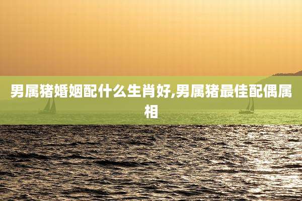 男属猪婚姻配什么生肖好,男属猪最佳配偶属相