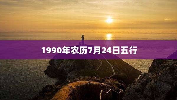 1990年农历7月24日五行