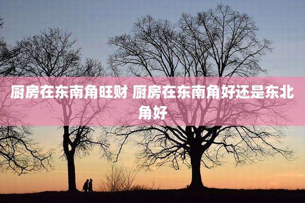 厨房在东南角旺财 厨房在东南角好还是东北角好