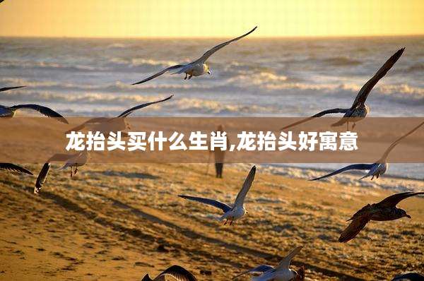 龙抬头买什么生肖,龙抬头好寓意