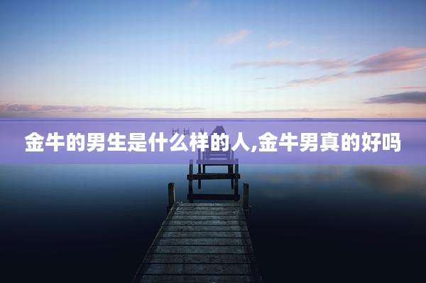 金牛的男生是什么样的人,金牛男真的好吗