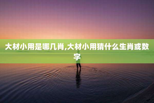 大材小用是哪几肖,大材小用猜什么生肖或数字