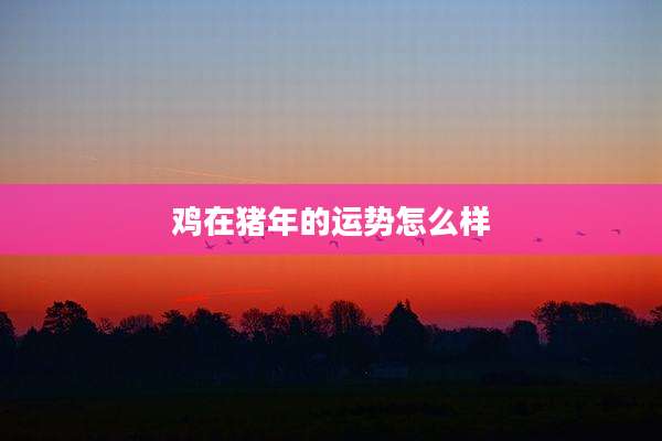 鸡在猪年的运势怎么样