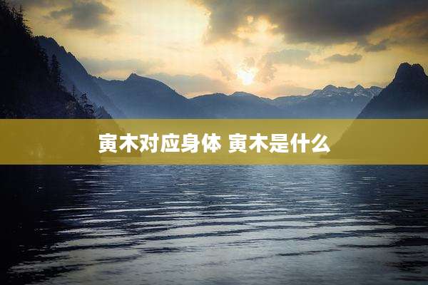 寅木对应身体 寅木是什么