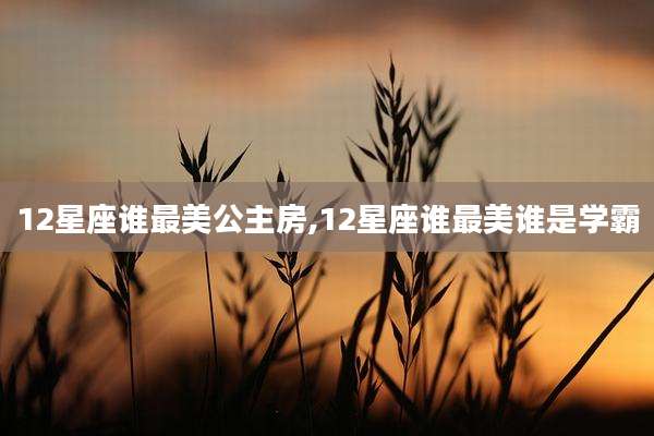 12星座谁最美公主房,12星座谁最美谁是学霸