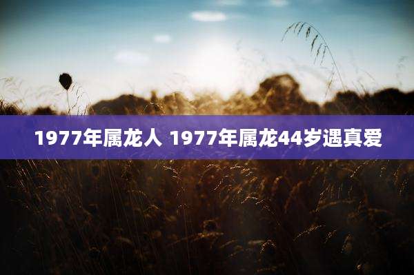 1977年属龙人 1977年属龙44岁遇真爱