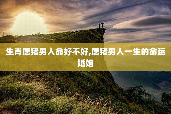 生肖属猪男人命好不好,属猪男人一生的命运婚姻