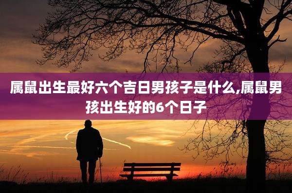 属鼠出生最好六个吉日男孩子是什么,属鼠男孩出生好的6个日子