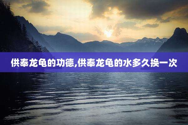 供奉龙龟的功德,供奉龙龟的水多久换一次
