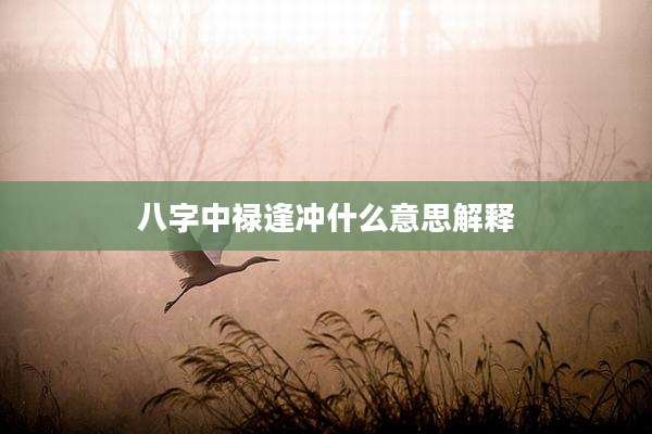 八字中禄逢冲什么意思解释