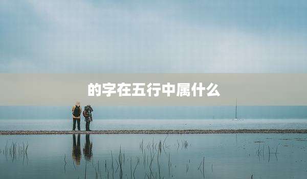 的字在五行中属什么