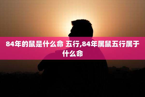 84年的鼠是什么命 五行,84年属鼠五行属于什么命