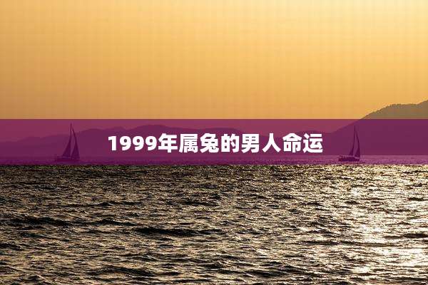 1999年属兔的男人命运