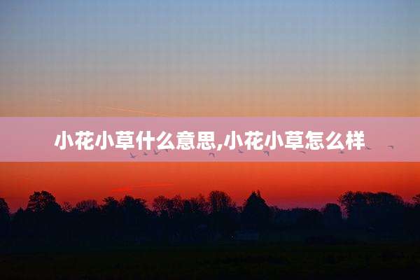 小花小草什么意思,小花小草怎么样